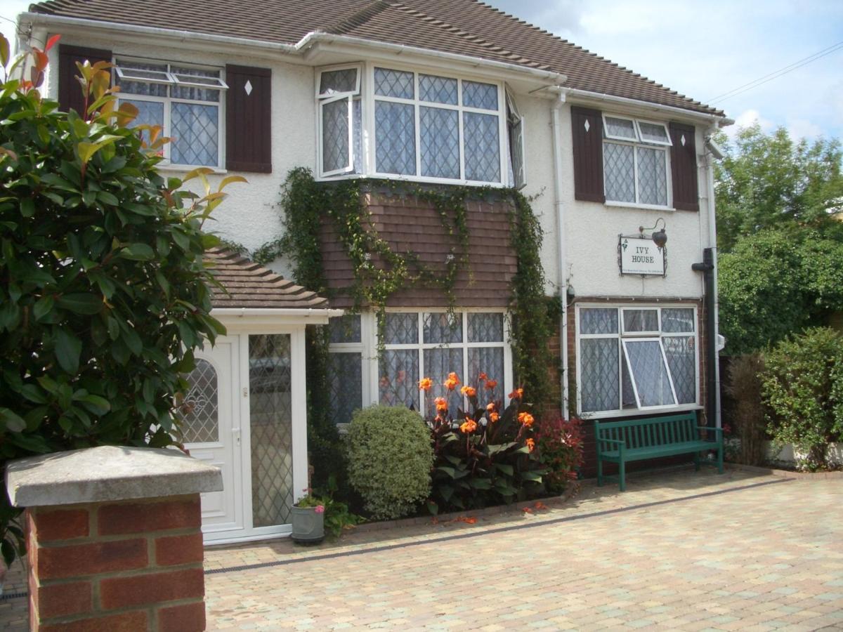 Ivy House Guest house 3*